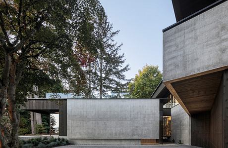 Ravine House by D’Arcy Jones Architects