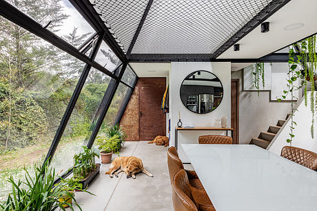 Expansive glass-enclosed space with plants, modern furnishings, and cozy canine companions.