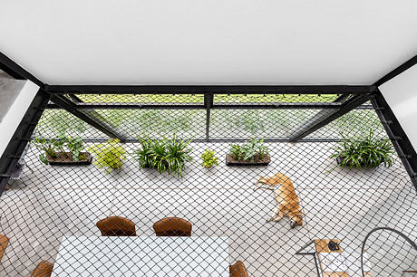 Enclosed space with wire mesh walls and potted plants, featuring wooden bench seating.