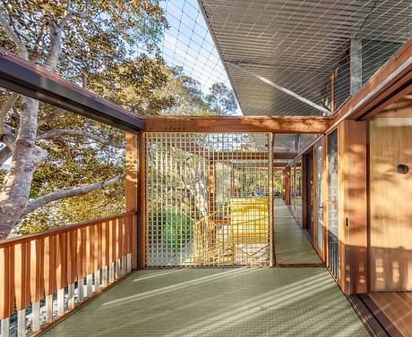 Balmy Palmy House by CplusC Architects + Builders - 9