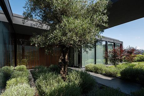 Casa da Encosta by Ricardo Azevedo Arquitecto - 12