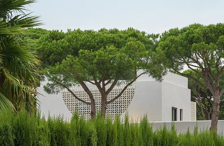 Casa del Sol: Courtyard House Rooted in Stone, Shade, Water Ritual