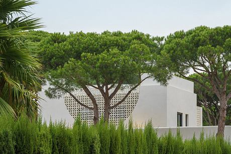 Casa del Sol: Courtyard House Rooted in Stone, Shade, Water Ritual - 1