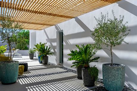 Palm Springs: Sun-Smart Courtyard Living for the Desert Climate Home - 5