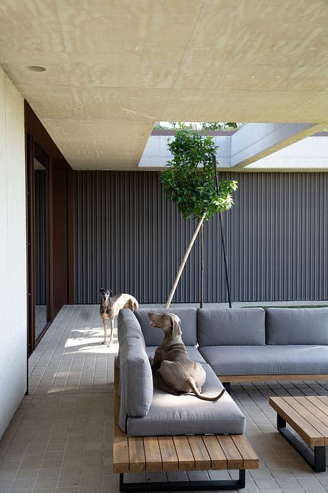 House in Misano Adriatico Pairs Warm Wood With Cool Stone Surfaces - 6