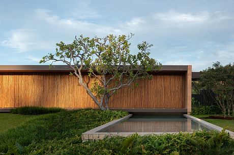 Taipa House Reimagines Vernacular Taipa For a Warm Modern Retreat - 10