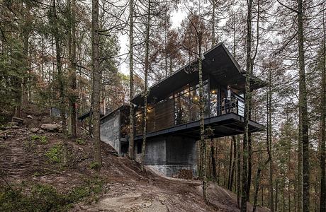 Casa Oruç: A Dramatic Descent From Pines to a Floating Forest Home
