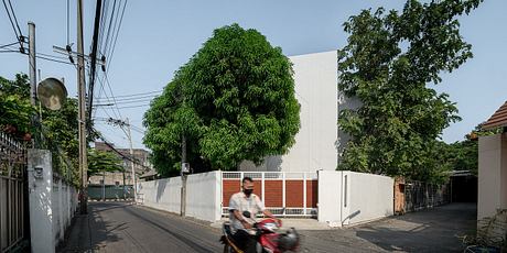 M House: Tree-Led Plan and Rooftop Pool in Bangkok’s Urban Center - 1