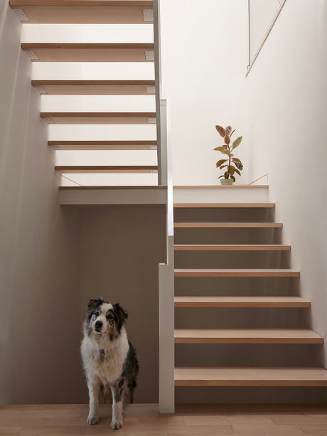 GB+G Residence Reframes Urban Family Living with Luminous Interiors - 7