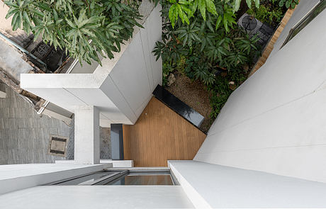 M House: Tree-Led Plan and Rooftop Pool in Bangkok’s Urban Center - 10