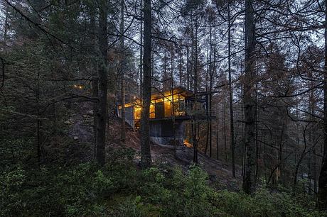 Casa Oruç: A Dramatic Descent From Pines to a Floating Forest Home - 13
