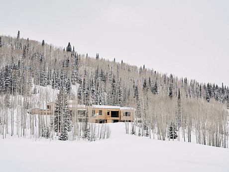 Nest: Mountain Modern Ski-In/Ski-Out House - 10
