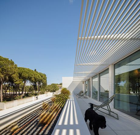 PCG House by Visioarq Arquitectos - 10