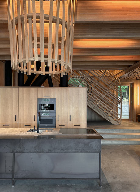 Tree House by Alchemy Architects - 2