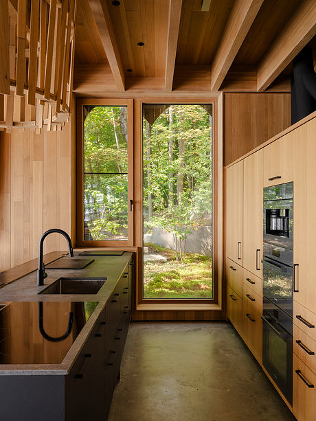 Tree House by Alchemy Architects - 4