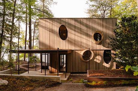 Tree House by Alchemy Architects - 7