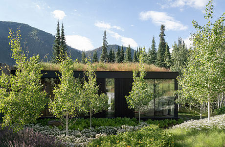 Hayden House: Regenerative Mountain Living in Aspen’s High Valley