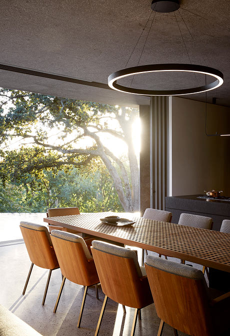 Planted Pavilion: A Low-Slung Retreat Woven Into Constantia Hills - 4