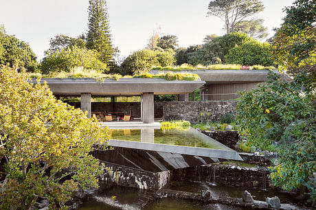 Planted Pavilion: A Low-Slung Retreat Woven Into Constantia Hills - 6