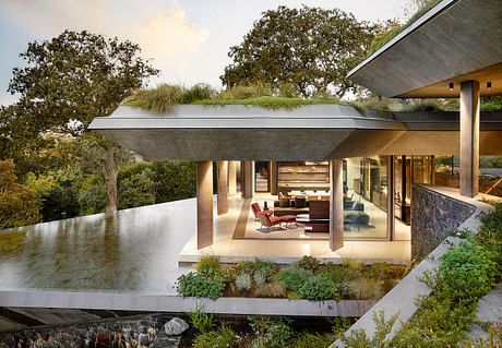 Planted Pavilion: A Low-Slung Retreat Woven Into Constantia Hills - 7