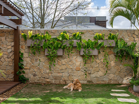 Casa Cubo: Modern Brazilian Home Revived - 10