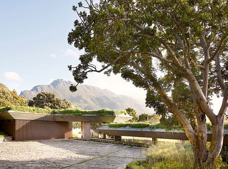 Planted Pavilion: A Low-Slung Retreat Woven Into Constantia Hills - 9