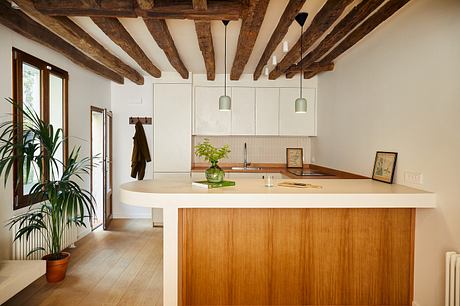 House of Plants by Sophia Charles Architecte - 3