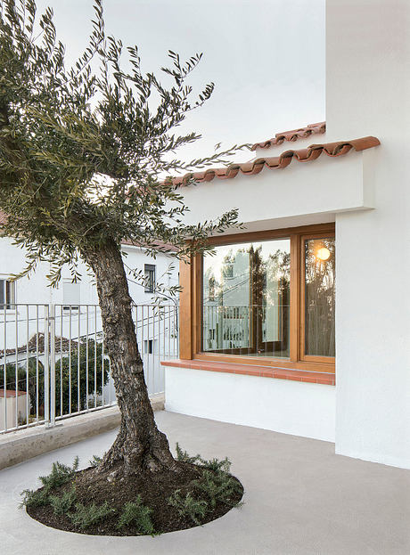 Ca na Baldu i en Diego — Quiet Minimalism Above Tibidabo Hill - 9