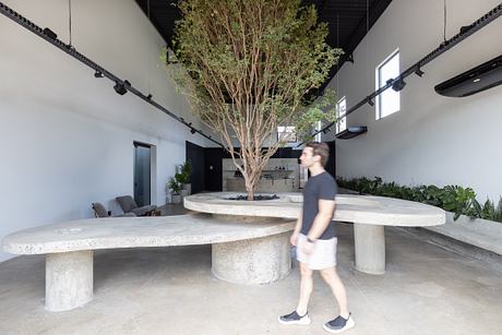 Casa Flairs: Brutalist Concrete Volumes Organize a Flexible Office - 1