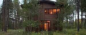 North Bank Road: Exploring Barn Form in a Forest House Setting