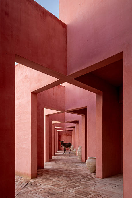 Laiva Plaza Hotel Brings Color and Stucco Across San José Del Cabo - 5
