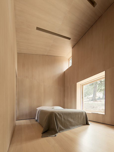 Staggered Cabin Uses Shed Roofs to Fit a Steep Mountain Site - 7