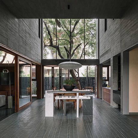 MS House: Brutalist Concrete Wrapped Around Nine Ancient Neem Trees - 6