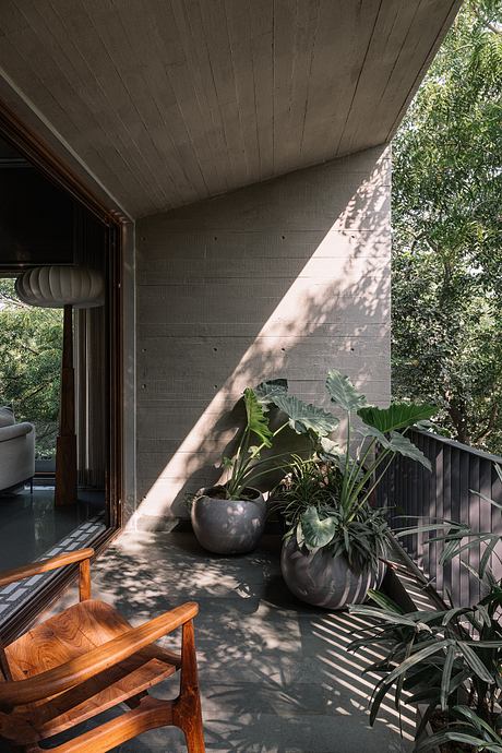 MS House: Brutalist Concrete Wrapped Around Nine Ancient Neem Trees - 12