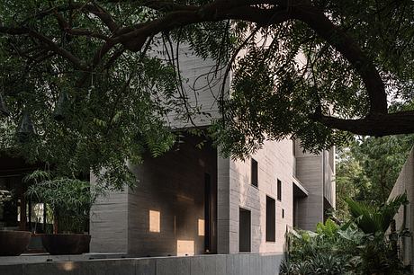 MS House: Brutalist Concrete Wrapped Around Nine Ancient Neem Trees - 13