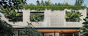 LAP House Opens High Walls to a Dense Tropical Garden